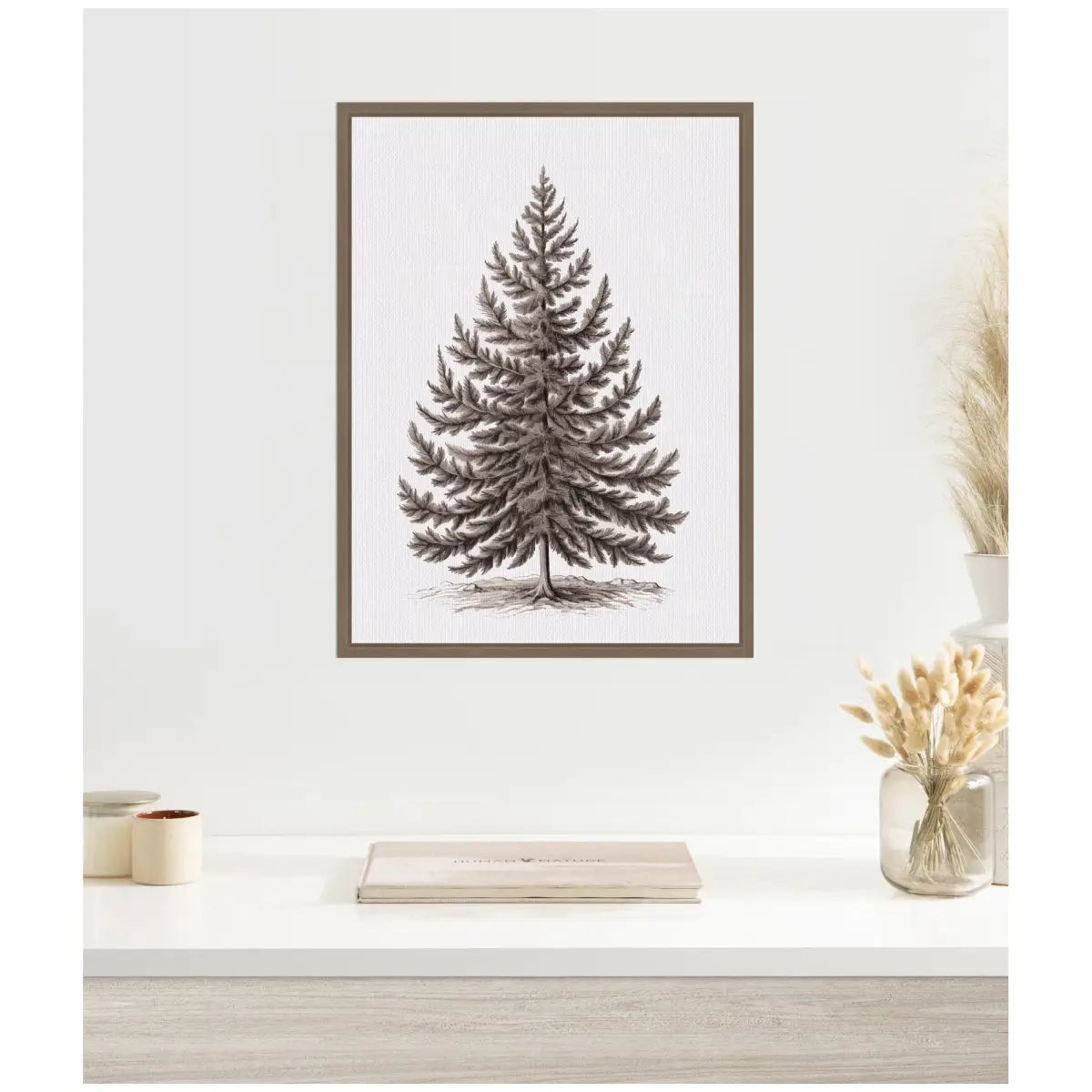 Vintage Evergreen Fir Tree Illustration - Framed Canvas - kateandlaurel