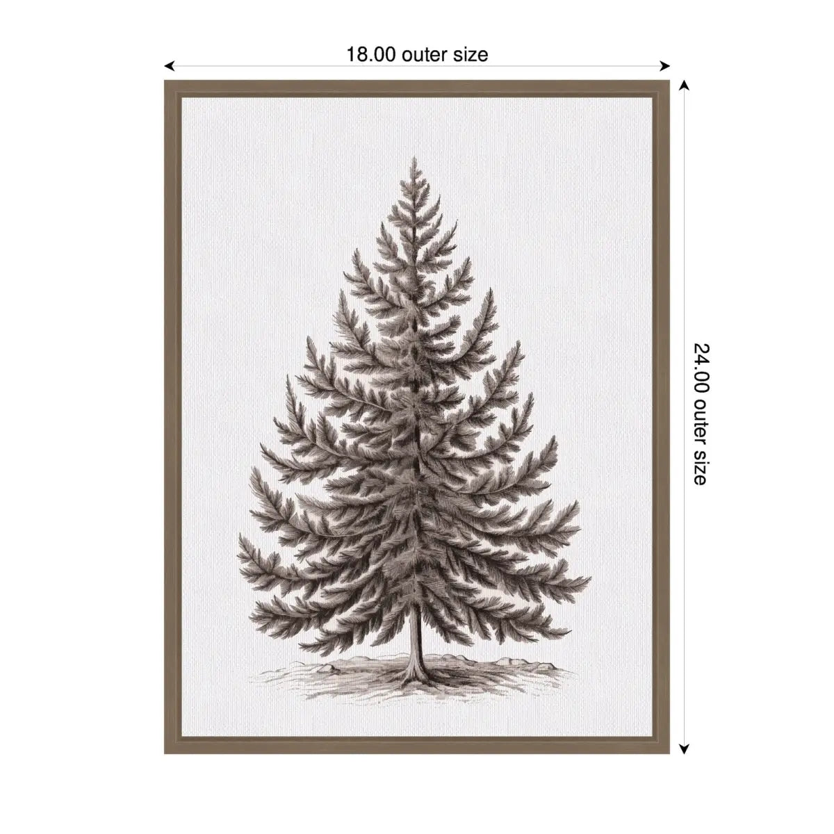 Vintage Evergreen Fir Tree Illustration - Framed Canvas - kateandlaurel
