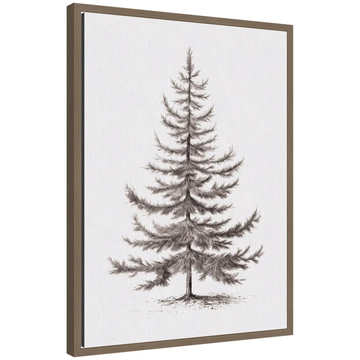 Frame Canvas Vintage Evergreen Fir Tree Illustration II - kateandlaurel