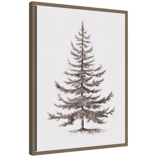 Frame Canvas Vintage Evergreen Fir Tree Illustration II - kateandlaurel
