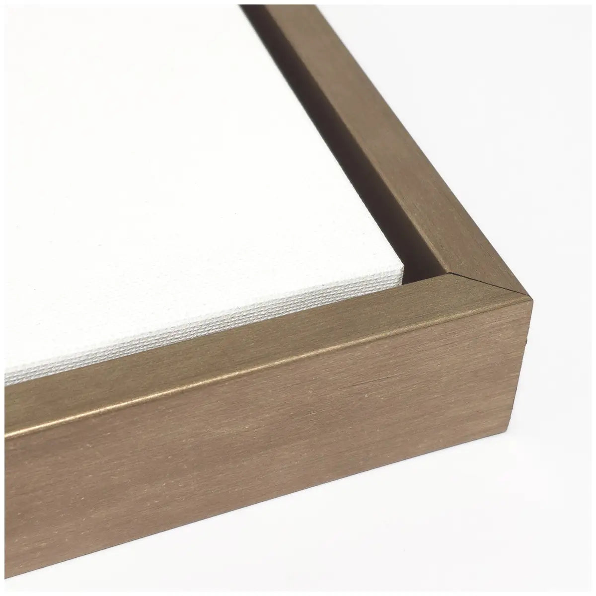 Frame Canvas Vintage Evergreen Fir Tree Illustration II - kateandlaurel