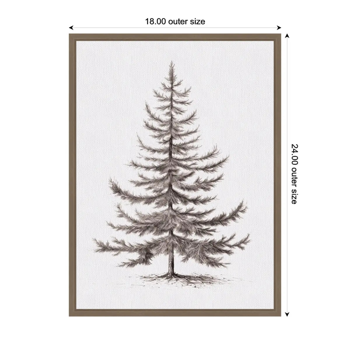Frame Canvas Vintage Evergreen Fir Tree Illustration II - kateandlaurel