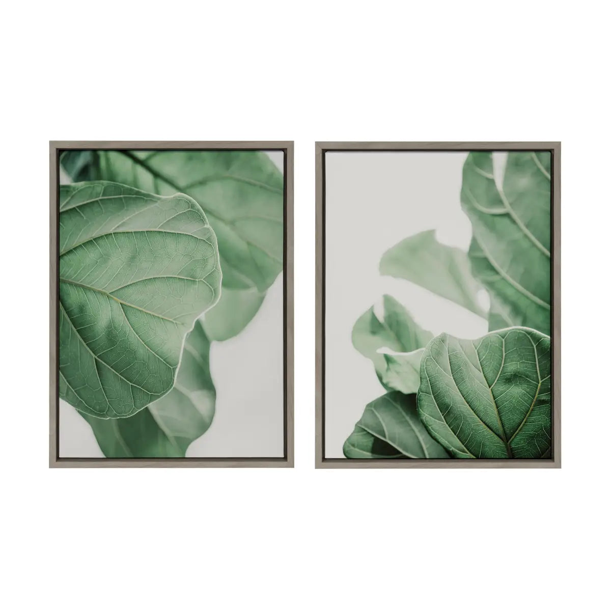 Canvas Art Print Set of 2 - Plant Study 6 and Plant Study 7 - Sylvie Graywash - kateandlaurel