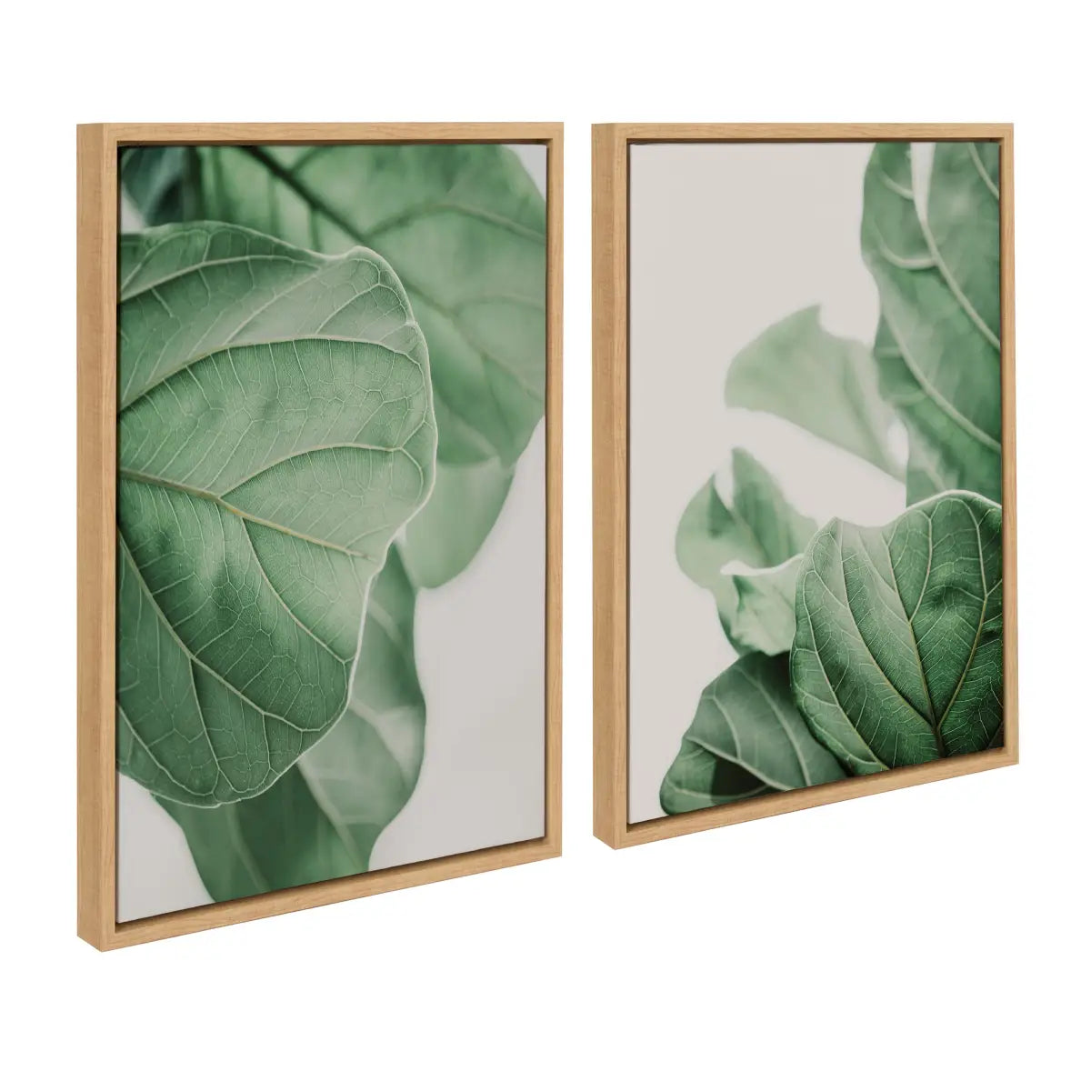 Canvas Art Print Set of 2 - Plant Study 6 and Plant Study 7 - Sylvie Natural - kateandlaurel