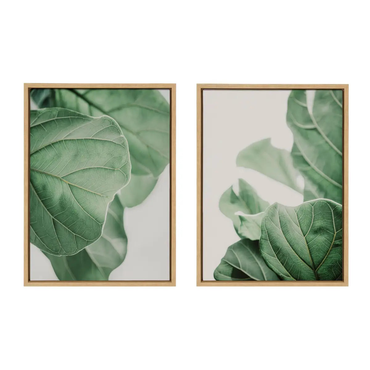 Canvas Art Print Set of 2 - Plant Study 6 and Plant Study 7 - kateandlaurel