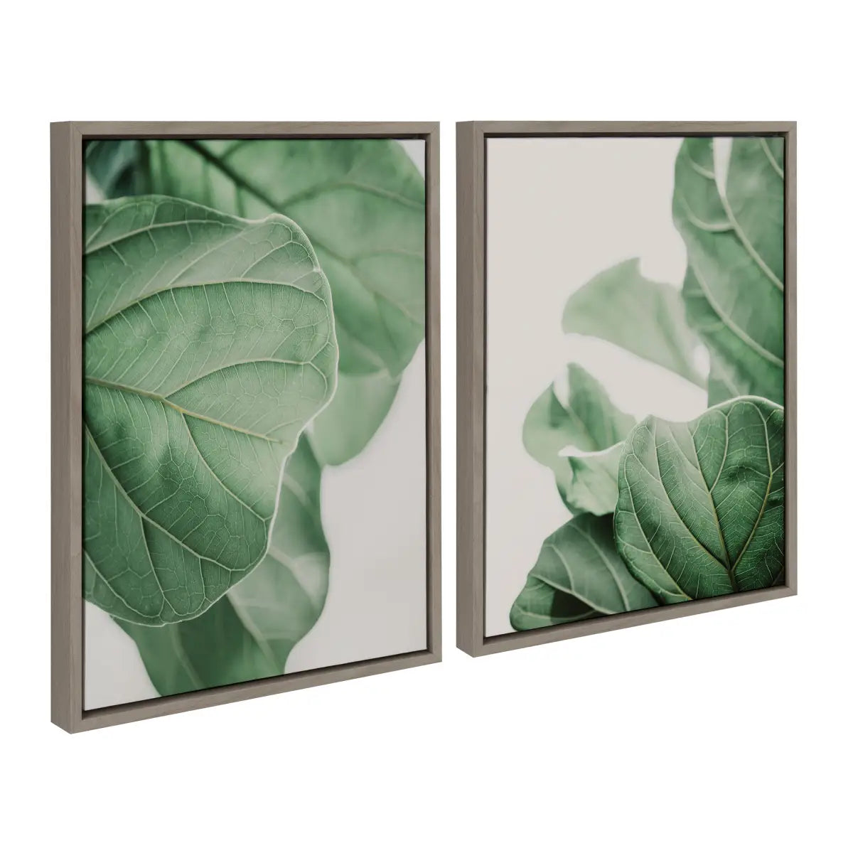 Canvas Art Print Set of 2 - Plant Study 6 and Plant Study 7 - kateandlaurel