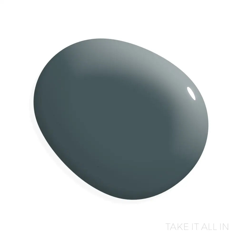 Take it All In - Manor Borne Wall Paint - 1 Gallon / 164oz - Amy Howard At Home