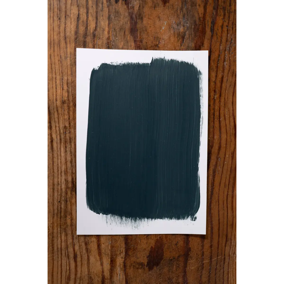 Take it All In - Manor Borne Wall Paint - Amy Howard At Home
