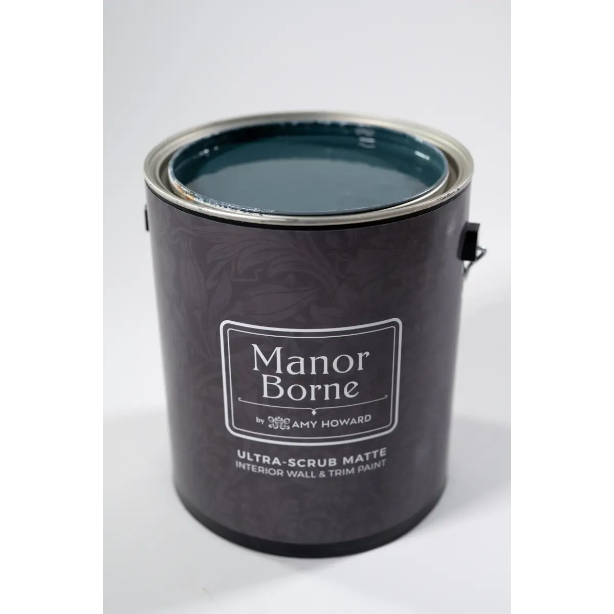Take it All In - Manor Borne Wall Paint - Amy Howard At Home