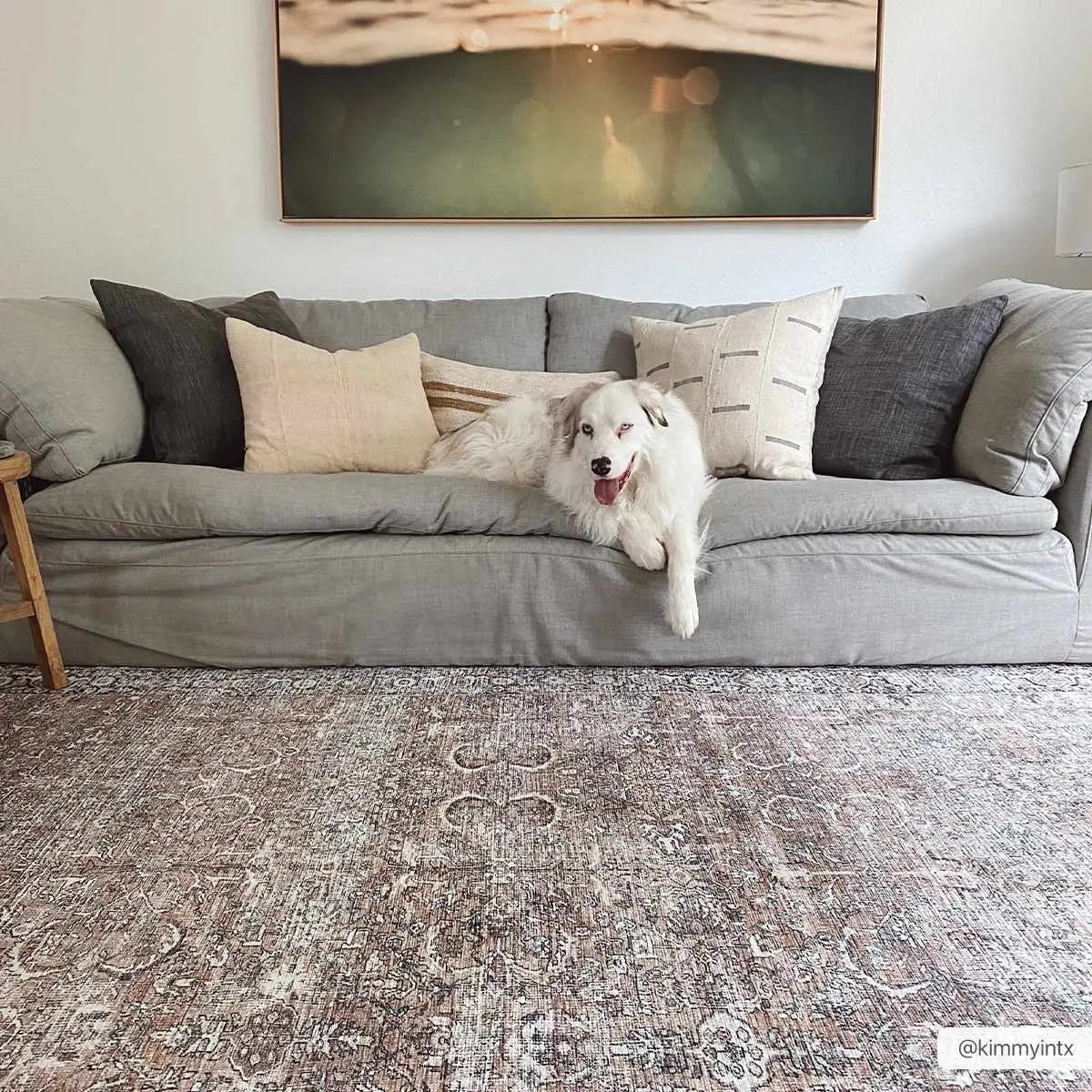 Tan Jill Vintage Washable Area Rug - Boutique Rugs