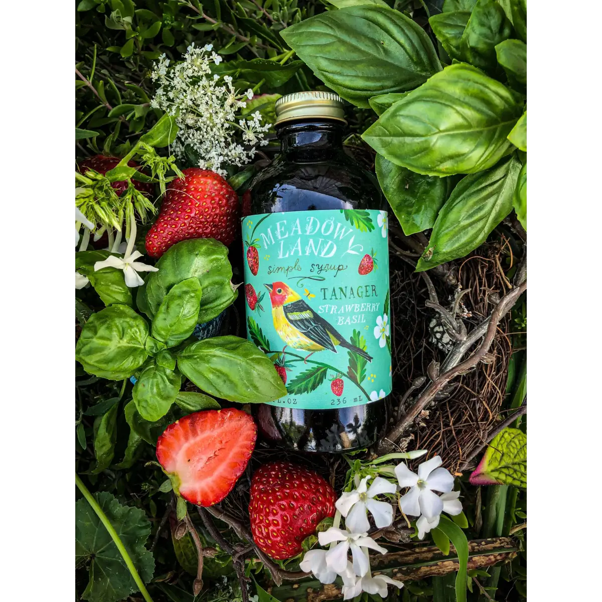 Tanager Simple Syrup - Strawberry & Basil - Lemonade or Cocktails - Meadowland Syrup