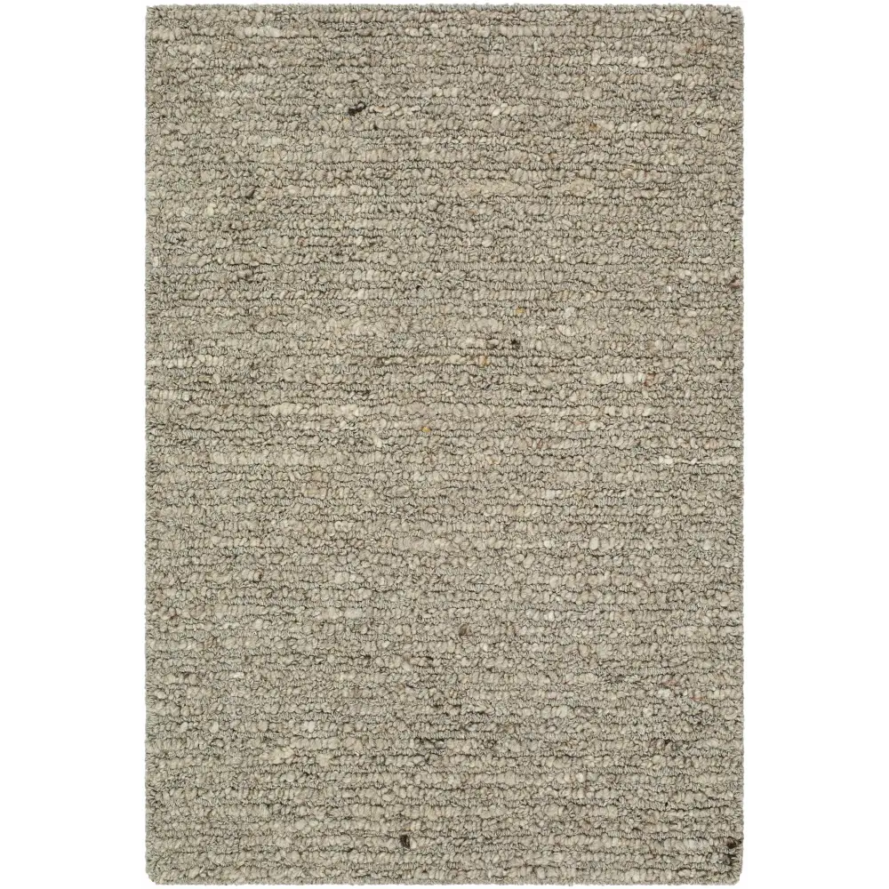 Taupe Textured Wool Area Rug - 2’ x 3’ Rectangle - Boutique Rugs