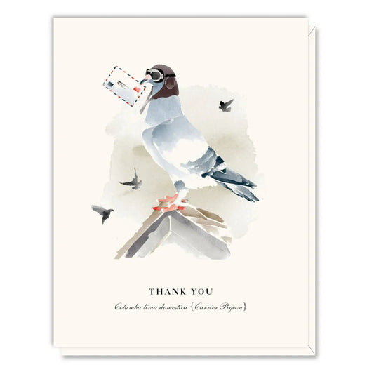 Thank You Card - Carrier Pigeon - Driscoll Design