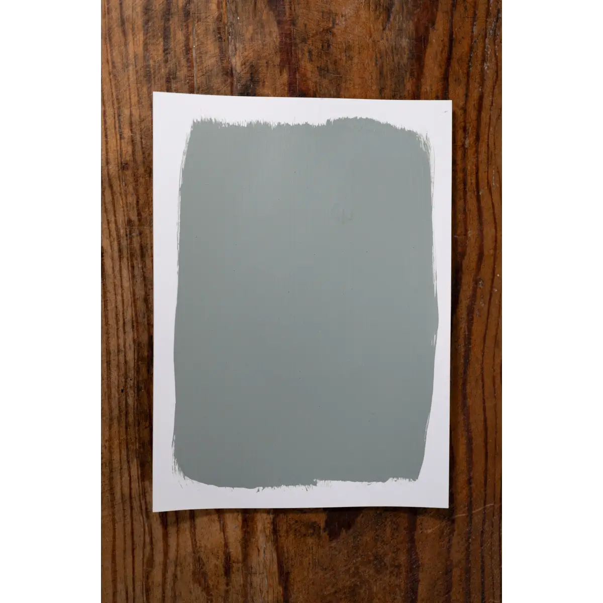 Tobacco Trail - Manor Borne Wall Paint - Amy Howard At Home