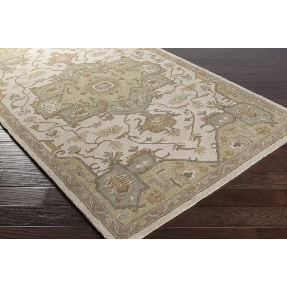 Traditional Medallion Tan Wool Area Rug - Boutique Rugs