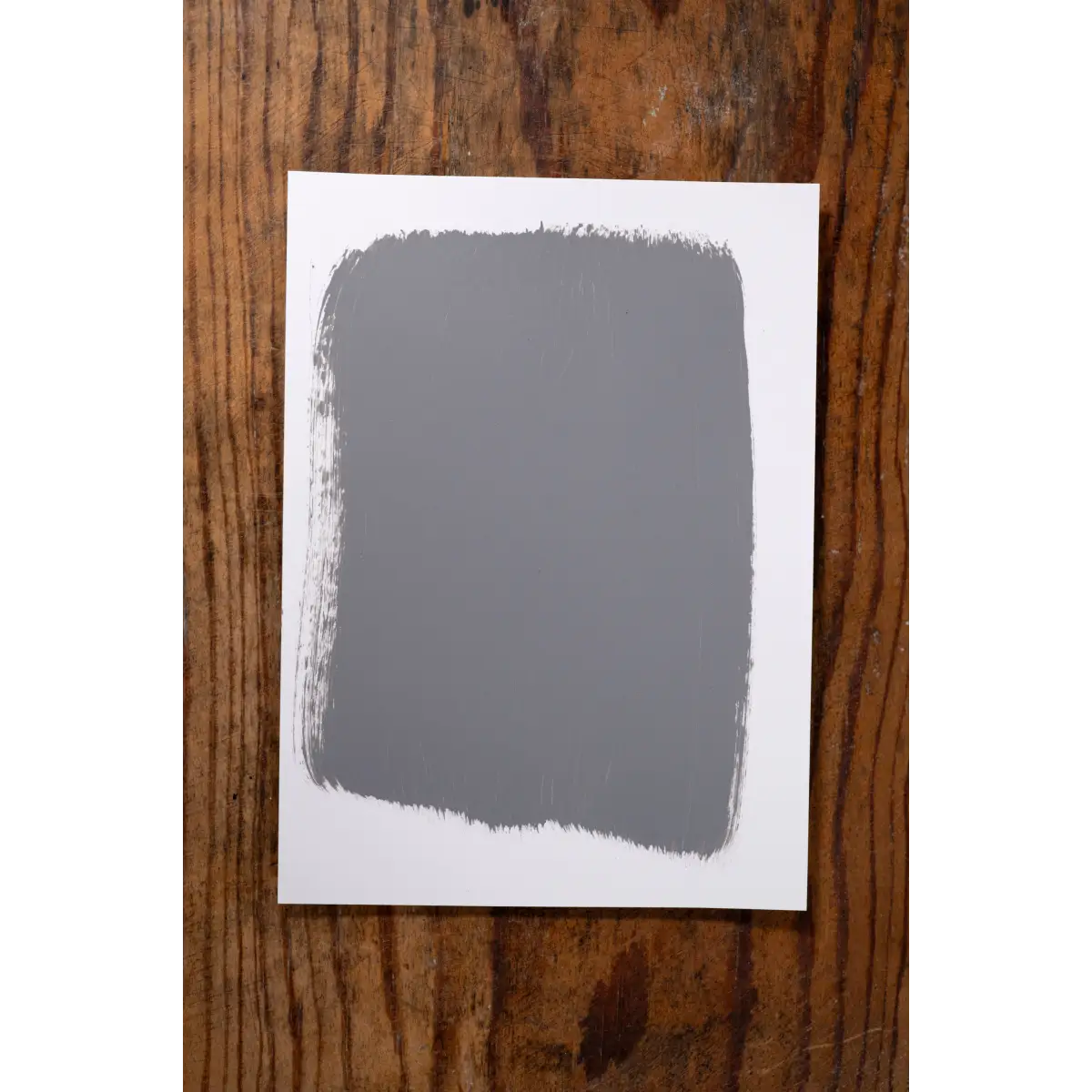 Tuscan Nights - Manor Borne Wall Paint - Amy Howard At Home
