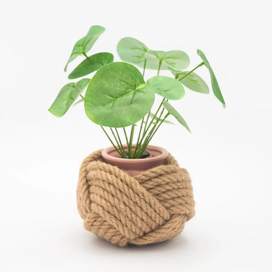 Unbound Planter Jute - Starfish Project