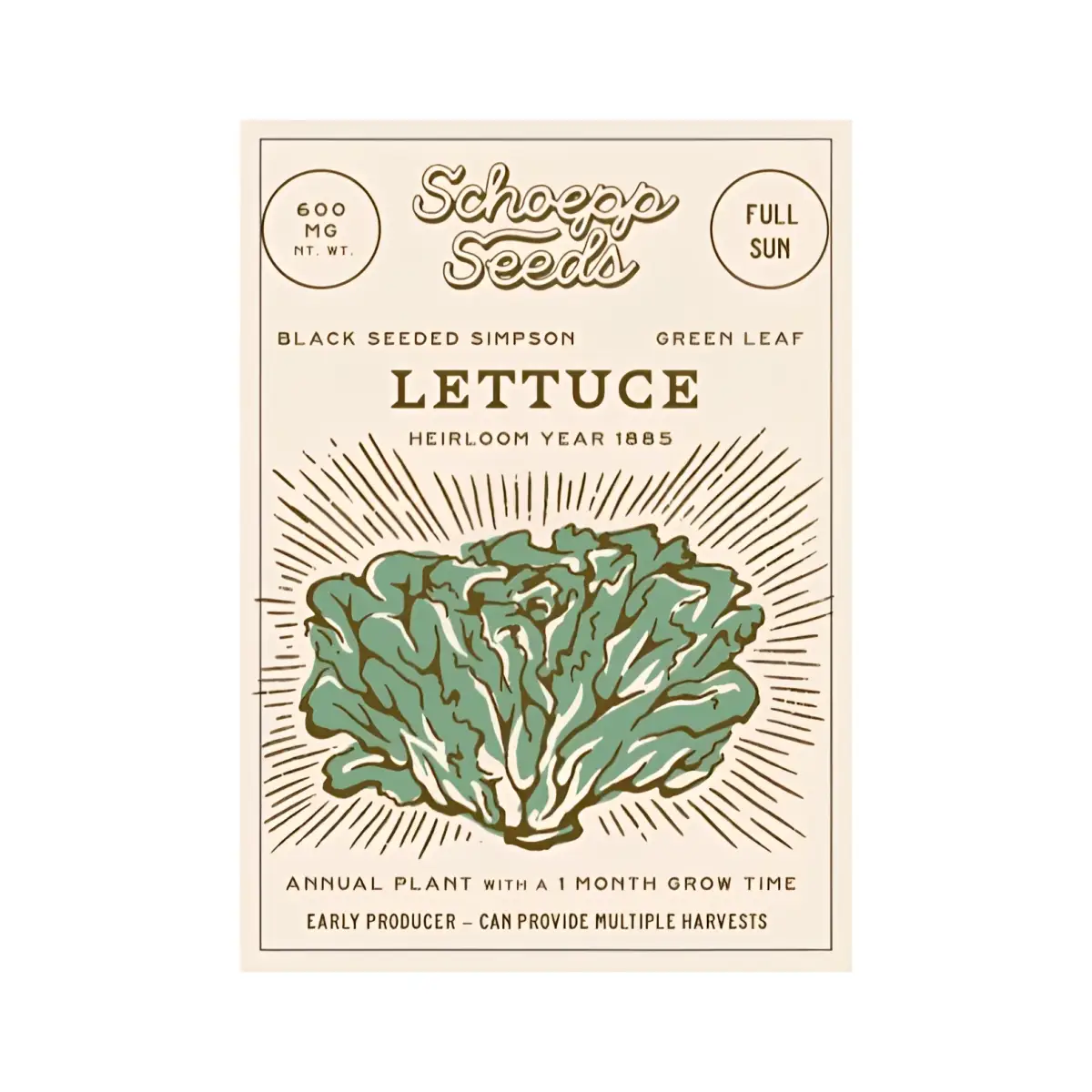 Vegetable and Flower Garden Seeds in Packets - Organic Heirloom - lettuce - SCHOEPP SEEDS