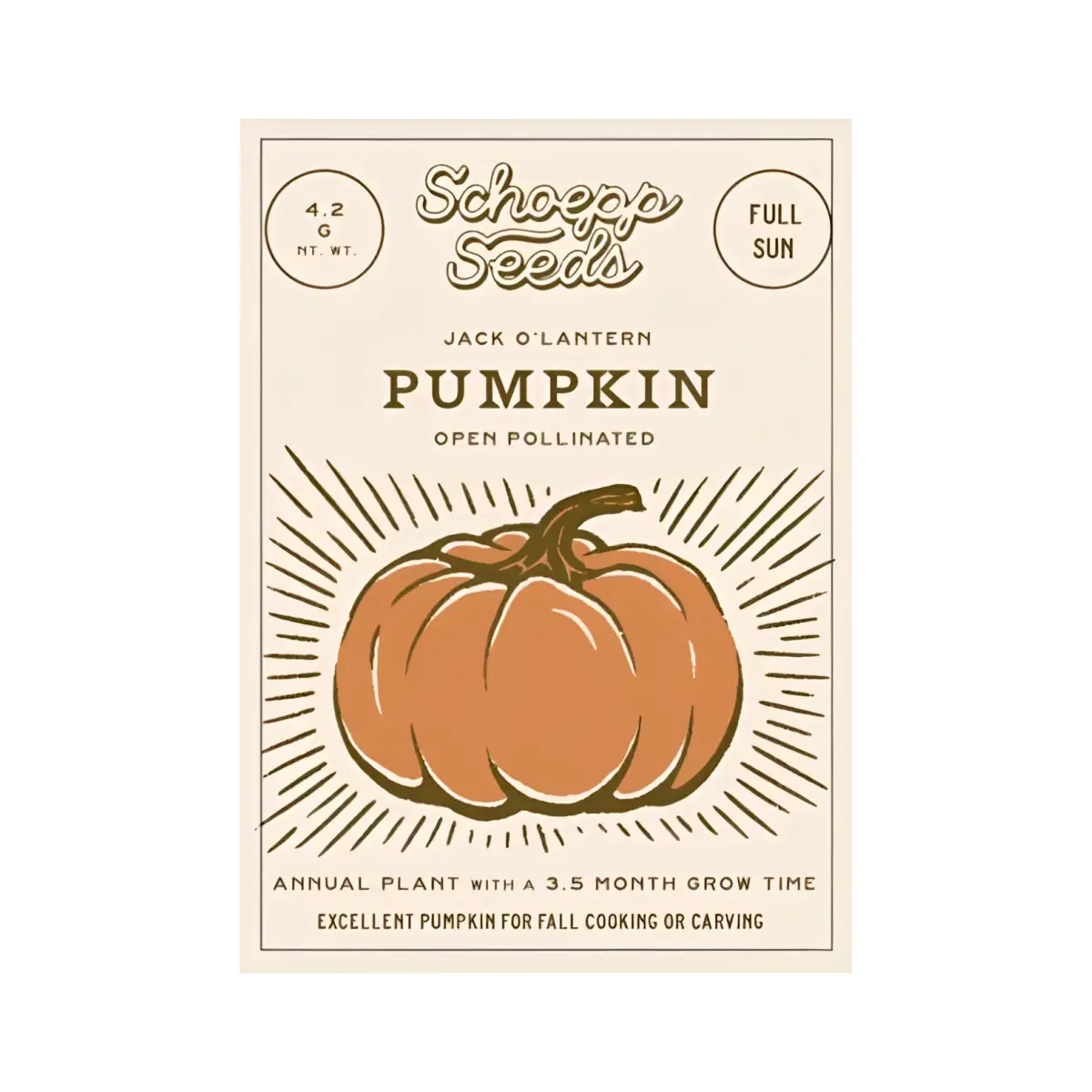 Vegetable and Flower Garden Seeds in Packets - Organic Heirloom - pumpkin - SCHOEPP SEEDS