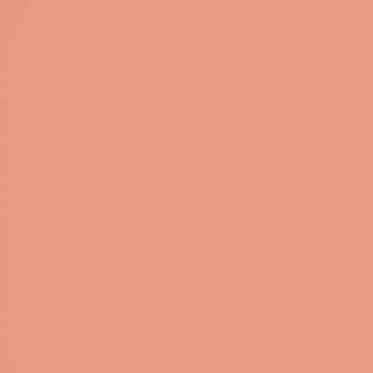 Vintage Coral - MudPaint Clay Furniture Paint - 4 oz - MudPaint