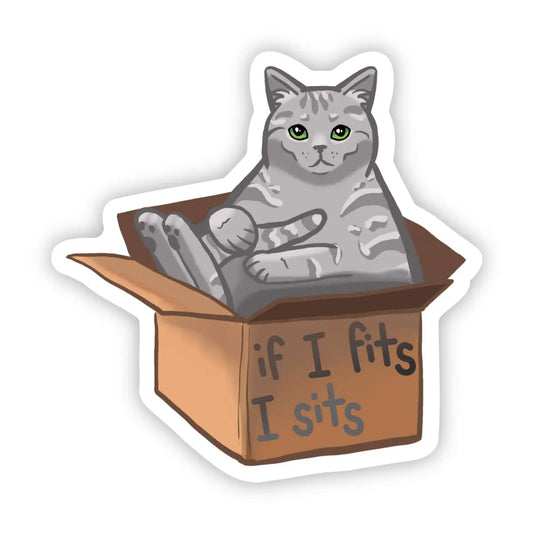 Vinyl Sticker - Cat Lover - If I Fits I Sits - Big Moods