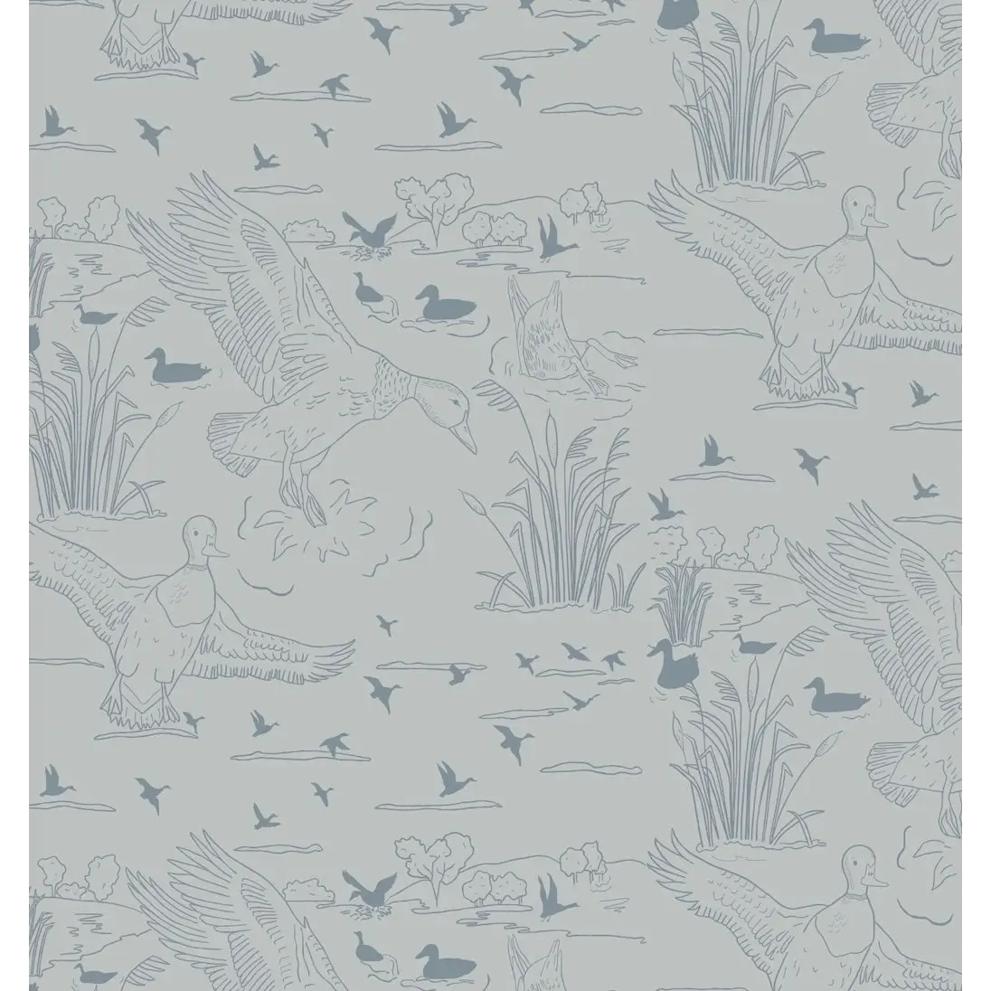 Wallace Wallpaper - Ducks Line Drawings - by Painted Hawk Design - Sample 1 foot by 1 foot / Light Blue - Loomwell Home