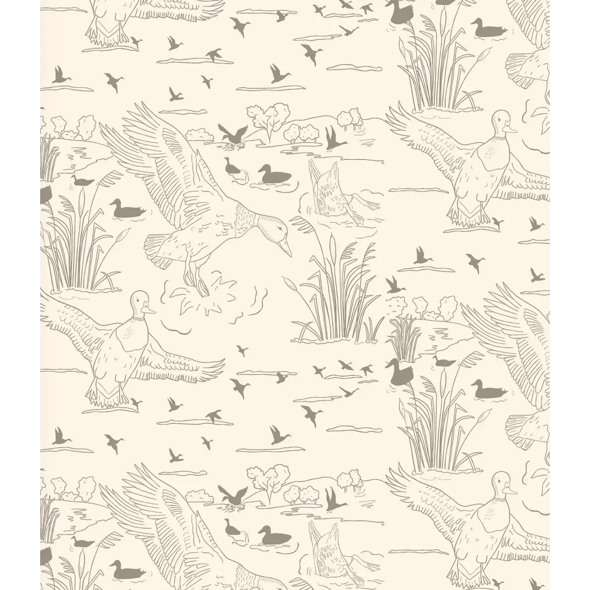 Wallace Wallpaper - Ducks Line Drawings - by Painted Hawk Design - Sample 1 foot by 1 foot / Neutral - Loomwell Home