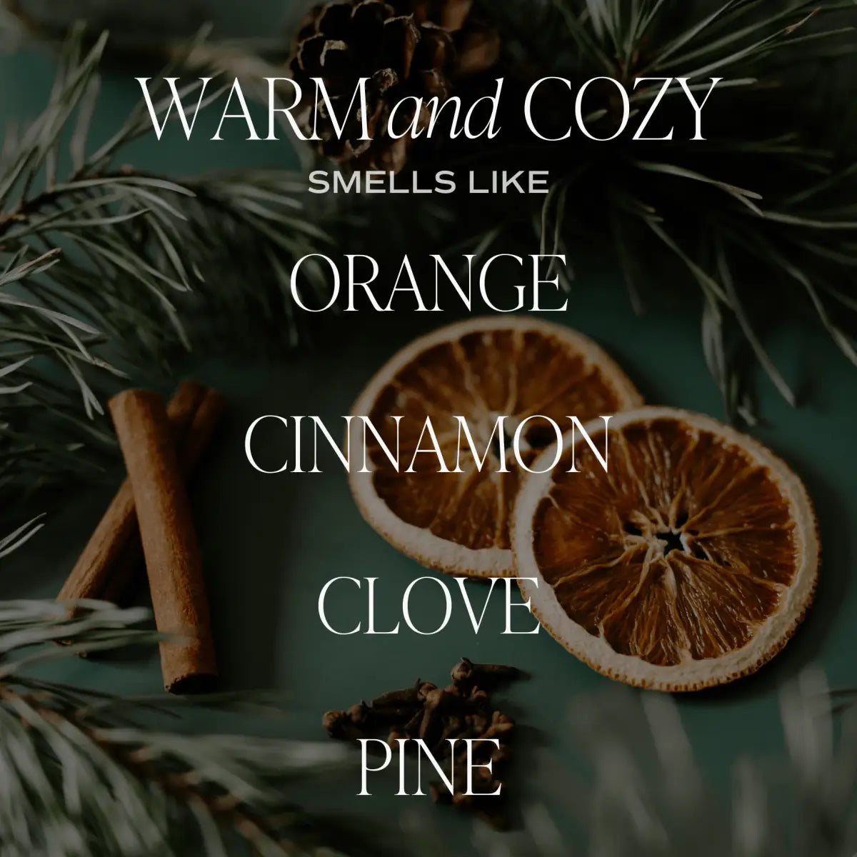 Warm and Cozy Hanging Air Freshener - Sweet Water Decor