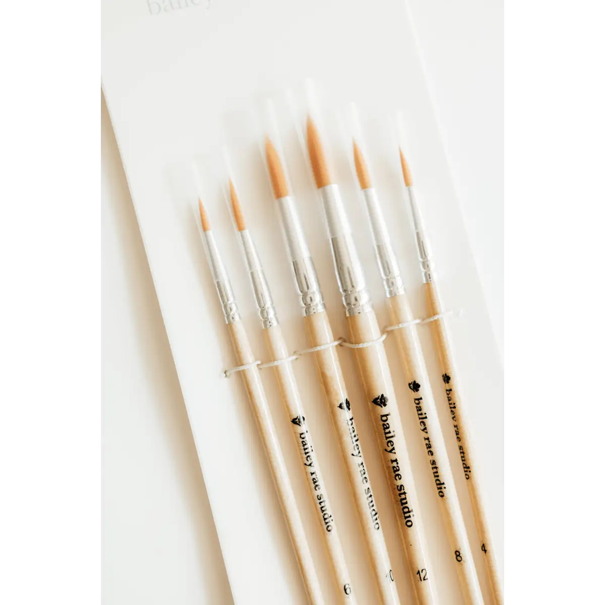Watercolor Brush Set - 6 piece Round Tip - Bailey Rae Studio