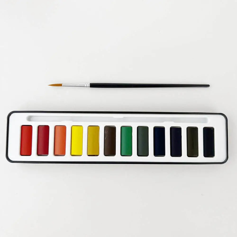 Watercolor Paint Set artist quality - emily lex studio