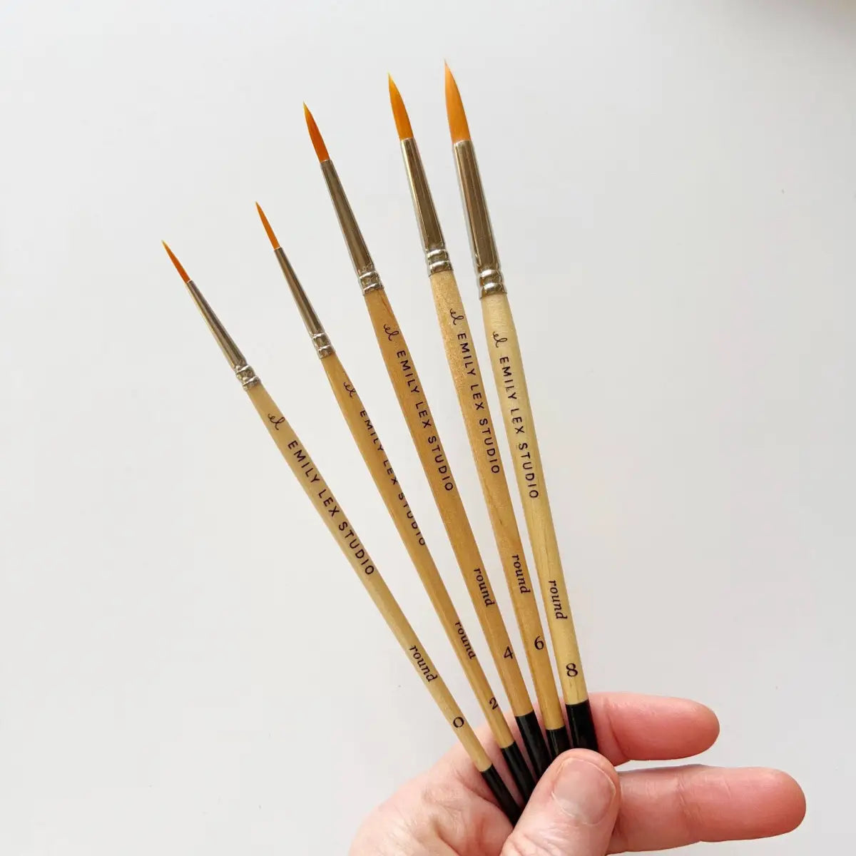Watercolor Paintbrush Set - emily lex studio