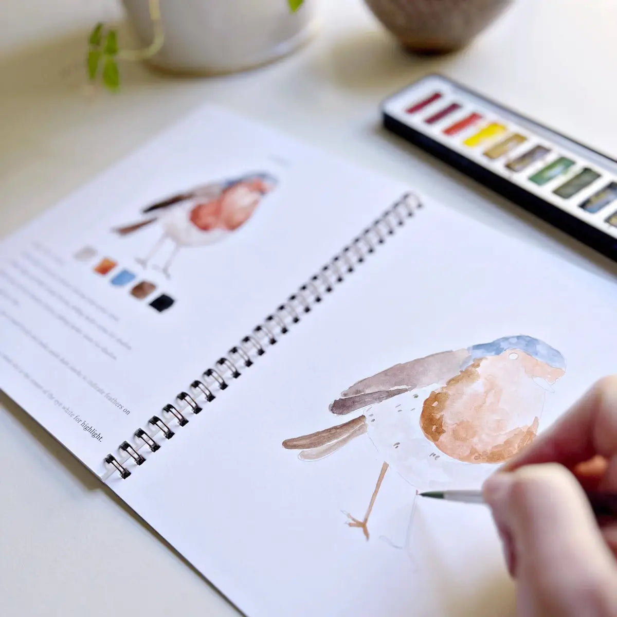 Watercolor Workbook - Birds - Emily Lex - emily lex studio