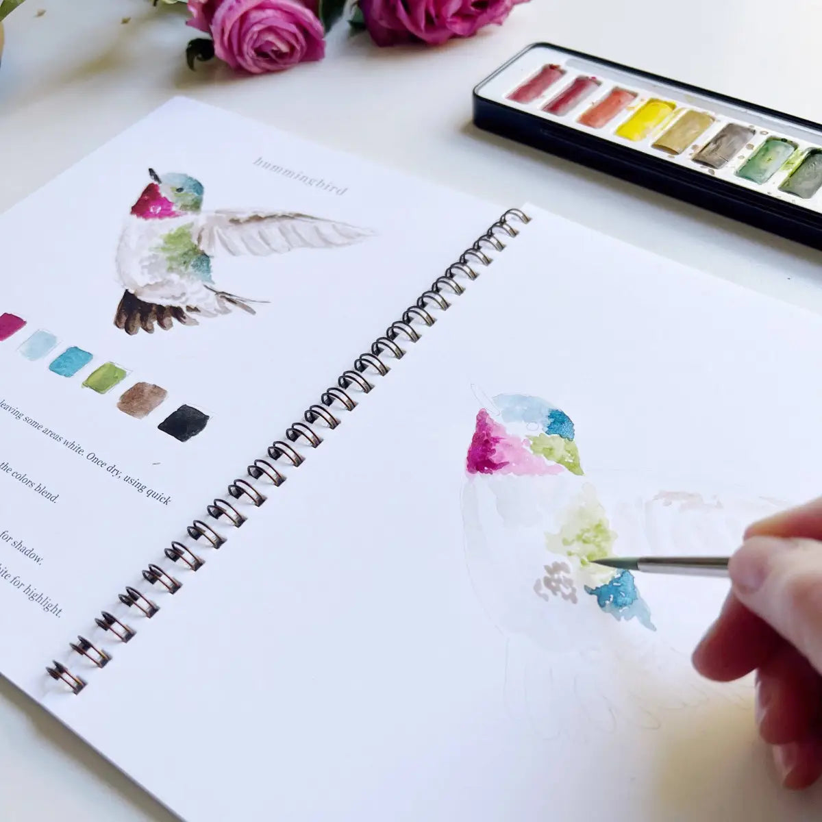 Watercolor Workbook - Birds - Emily Lex - emily lex studio