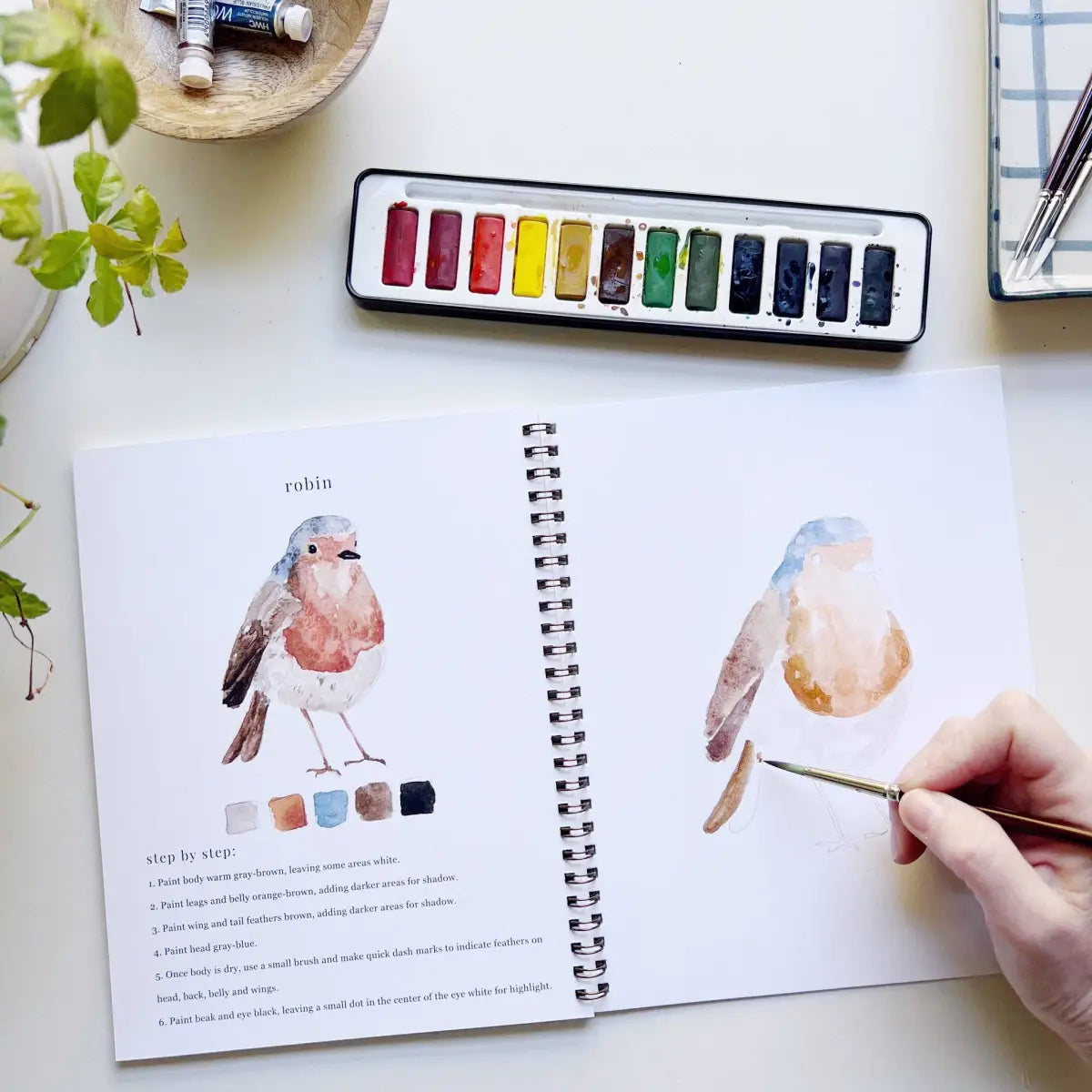 Watercolor Workbook - Birds - Emily Lex - emily lex studio