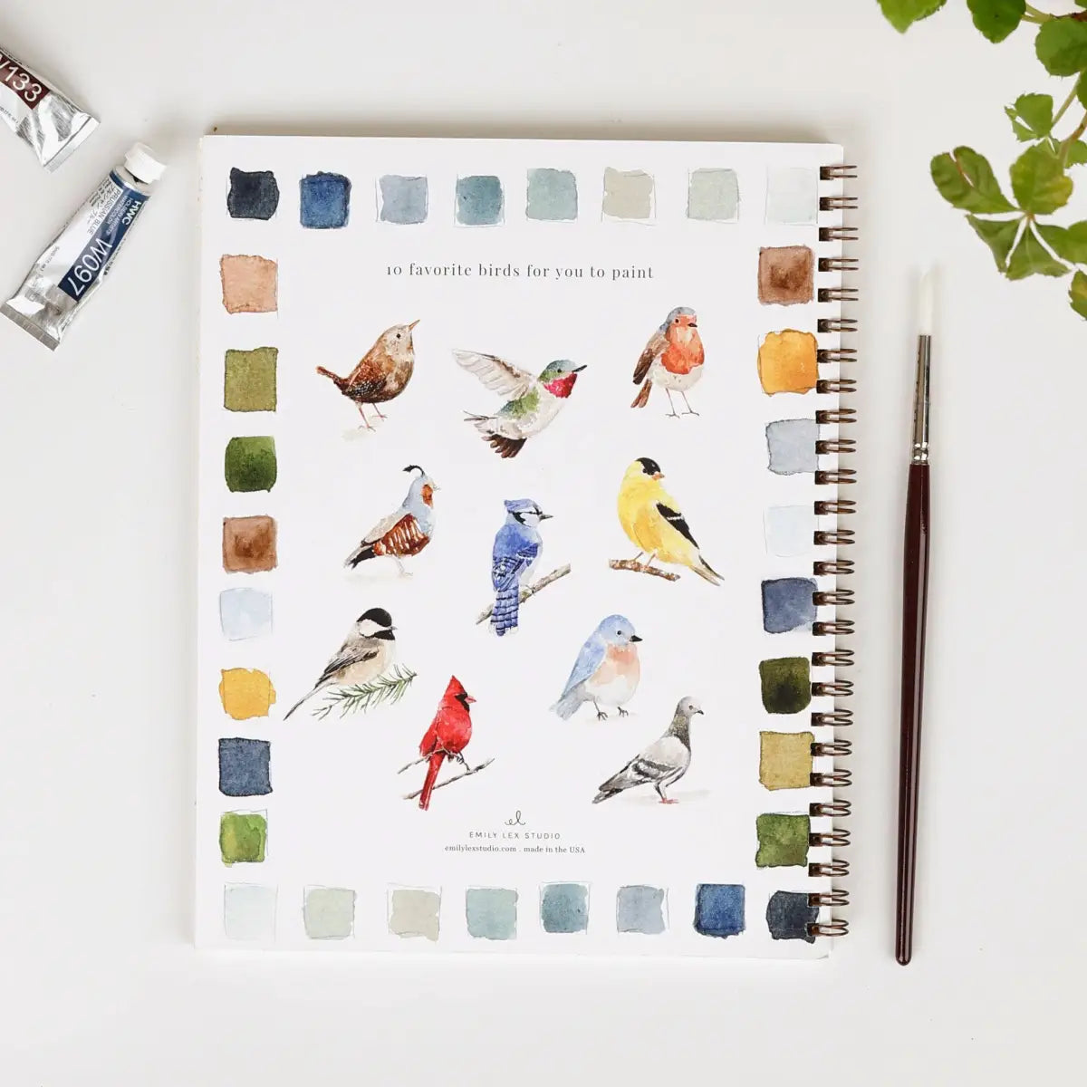 Watercolor Workbook - Birds - Emily Lex - emily lex studio