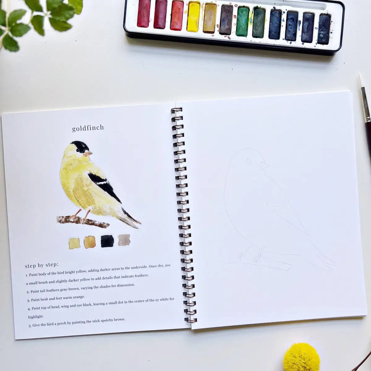 Watercolor Workbook - Birds - Emily Lex - emily lex studio