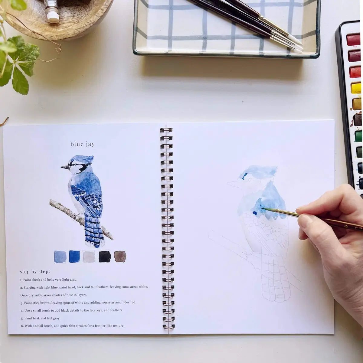 Watercolor Workbook - Birds - Emily Lex - emily lex studio