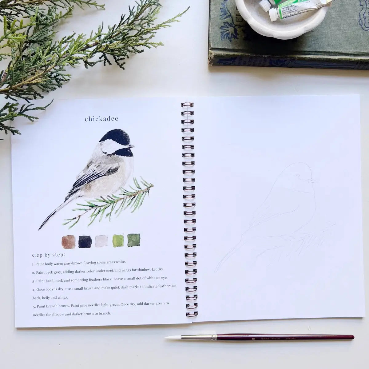 Watercolor Workbook - Birds - Emily Lex - emily lex studio