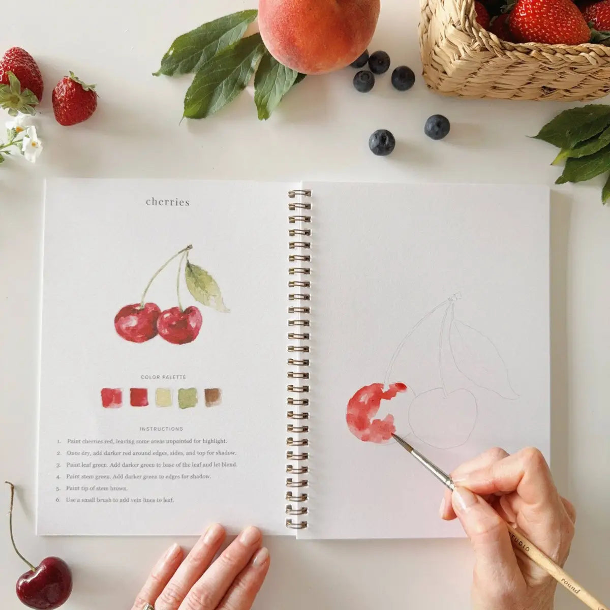 Watercolor Workbook - Fruit - Emily Lex - emily lex studio
