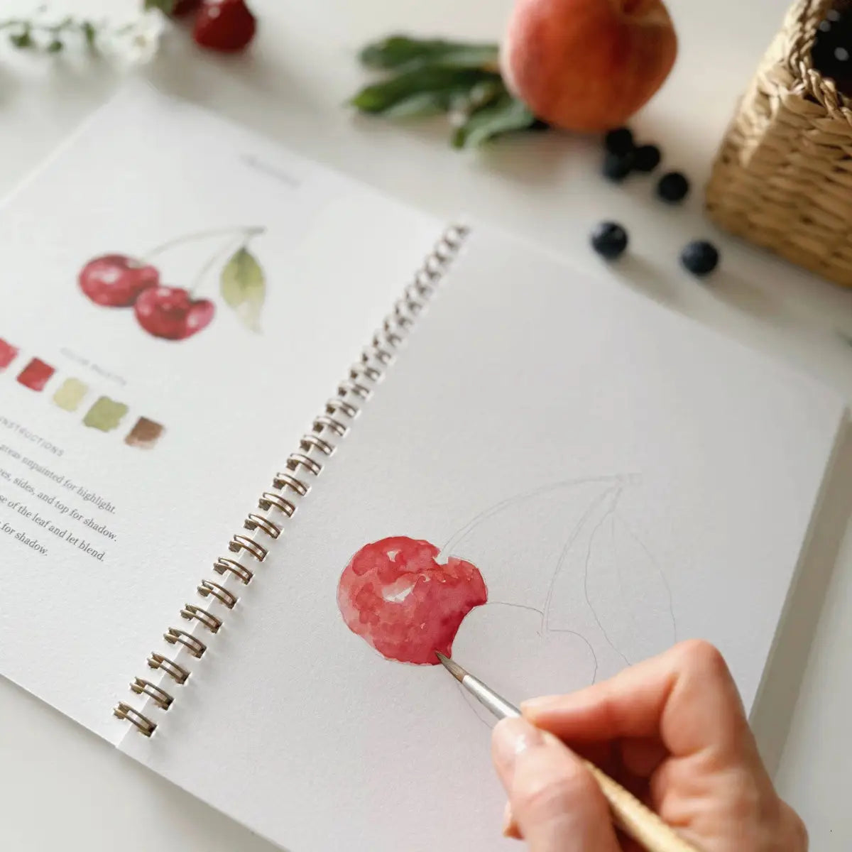 Watercolor Workbook - Fruit - Emily Lex - emily lex studio