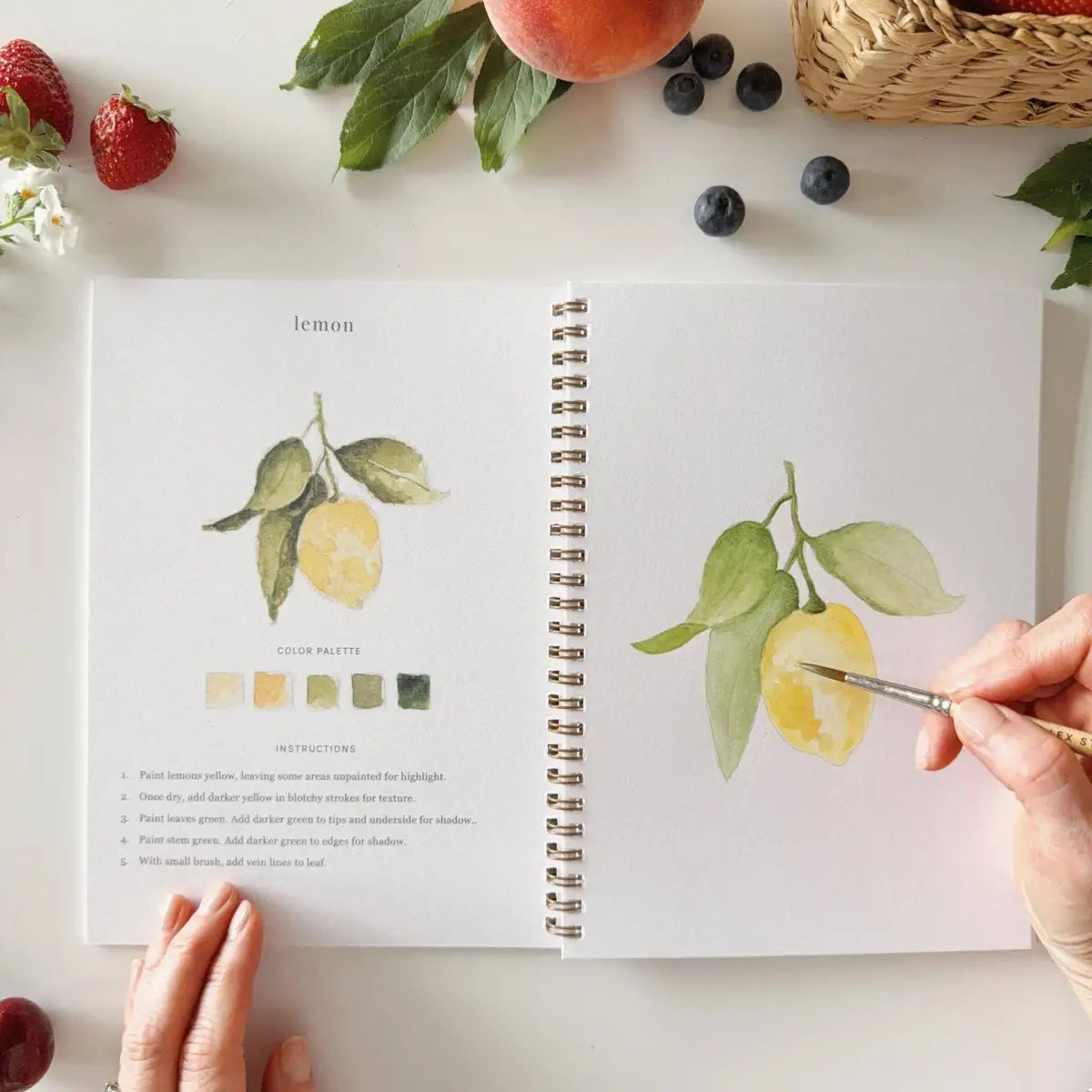 Watercolor Workbook - Fruit - Emily Lex - emily lex studio