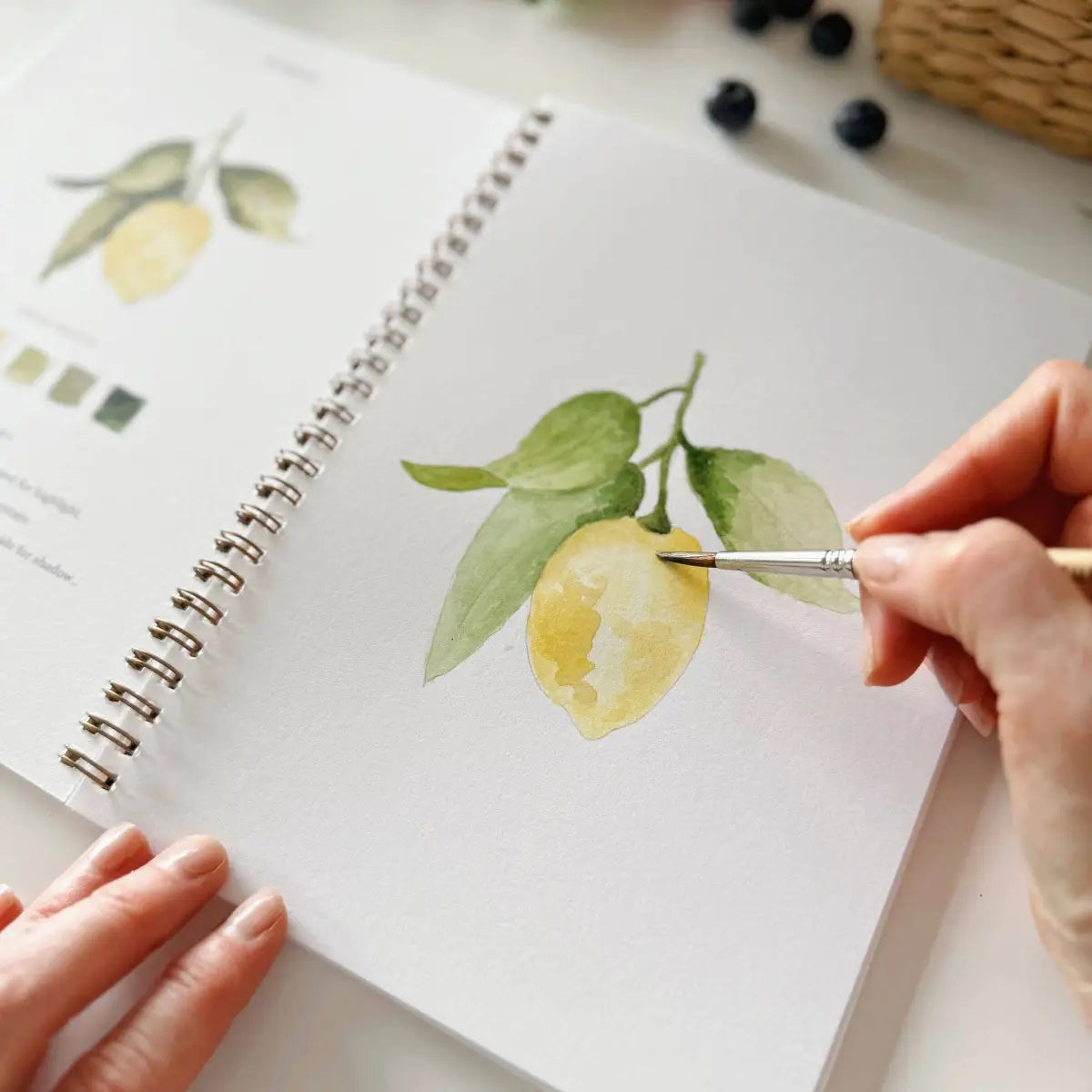 Watercolor Workbook - Fruit - Emily Lex - emily lex studio