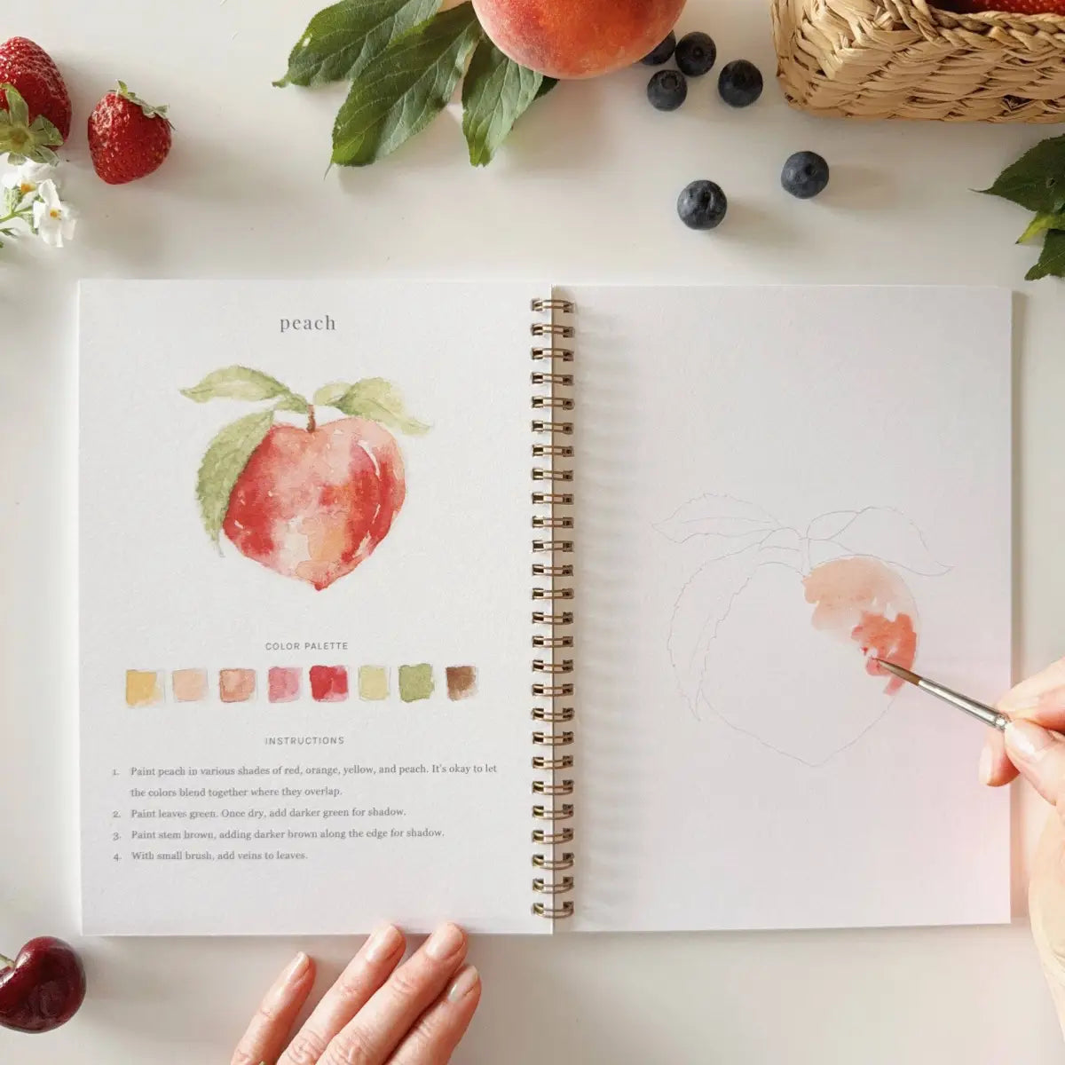 Watercolor Workbook - Fruit - Emily Lex - emily lex studio