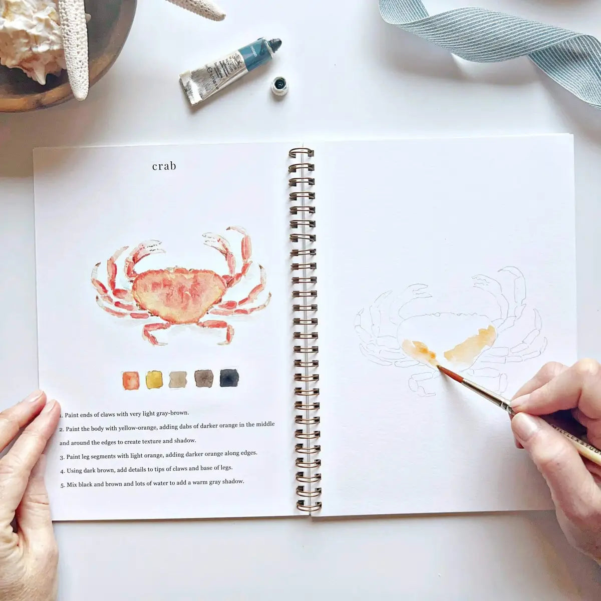 Watercolor Workbook - Seaside - Emily Lex - emily lex studio