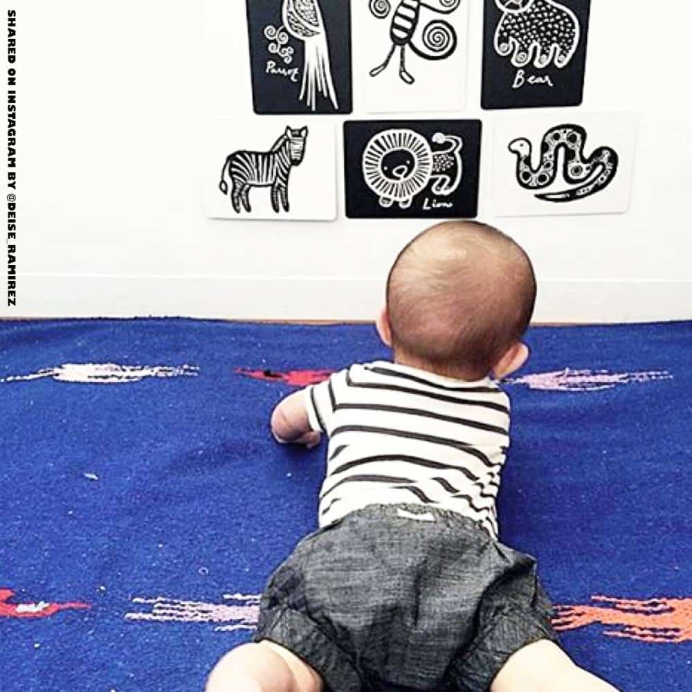 Art Cards for Baby - Woodland Collection - Wee Gallery