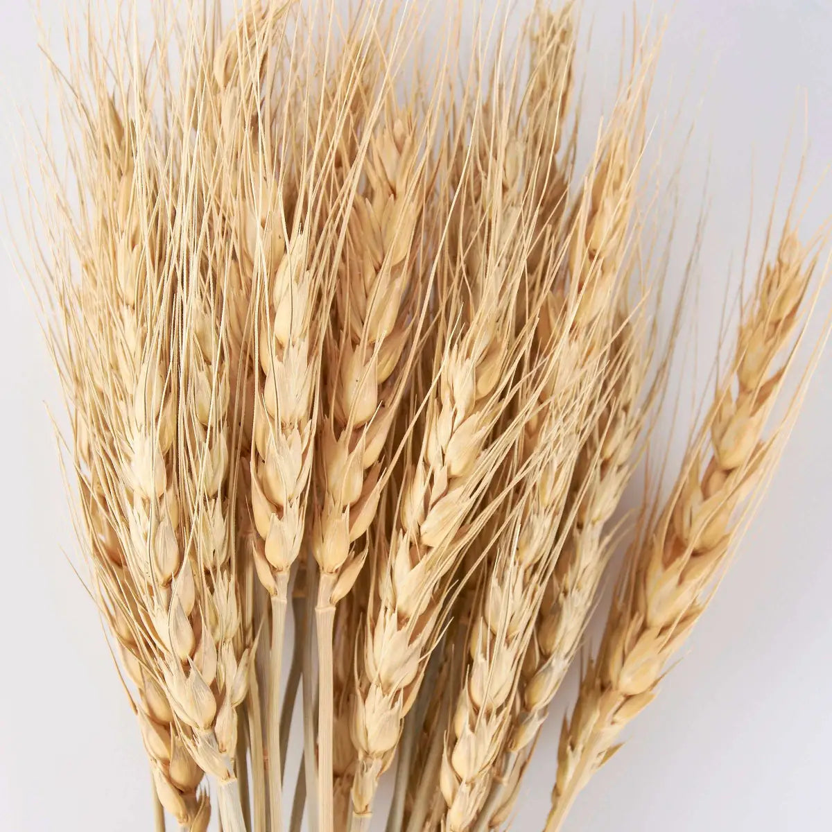 Wheat Bouquet - Primitives by Kathy