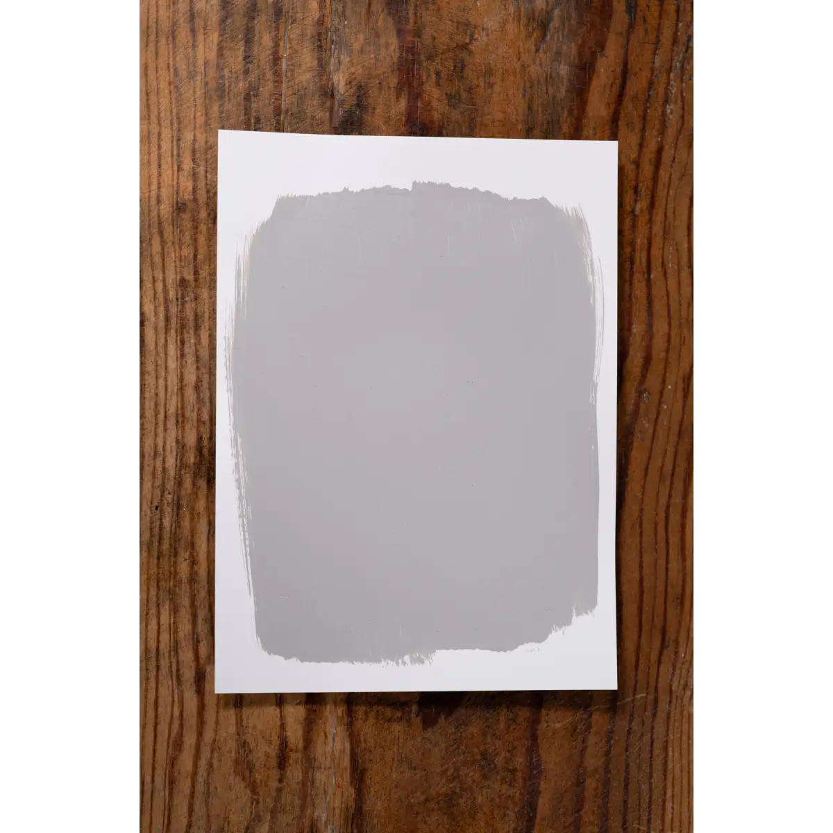 Willow Whisper - Manor Borne Wall Paint - Amy Howard At Home