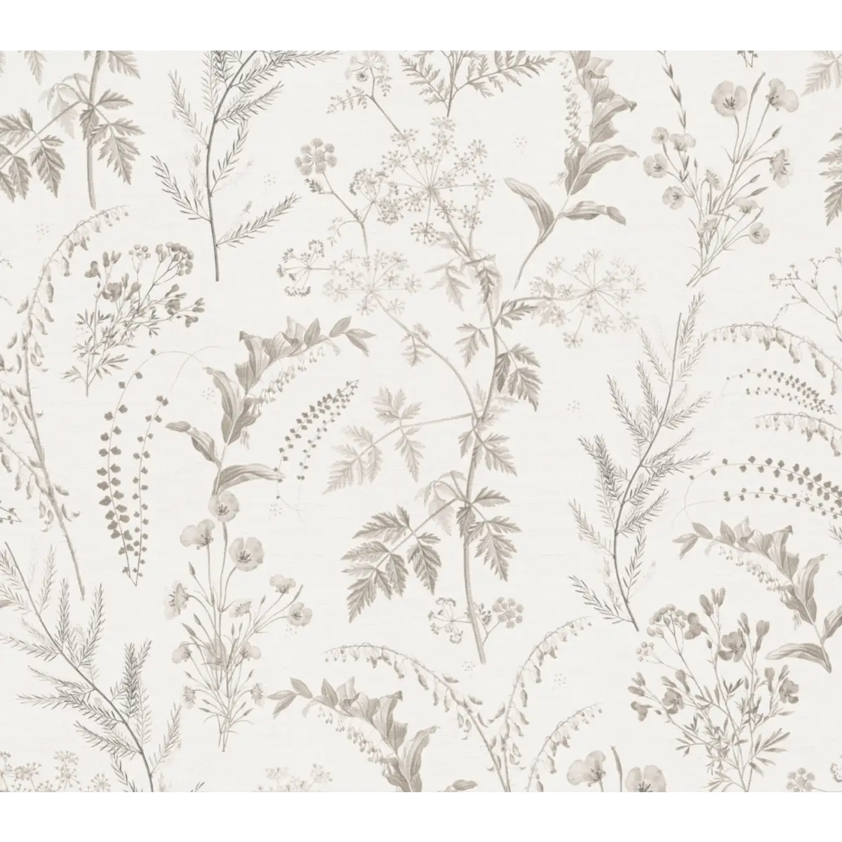 Winsome Wallpaper - Botanical Ferns - by Aynsley Ovard x Bloomery Decor - Sample 1 foot by 1 foot / Ivory and Beige
