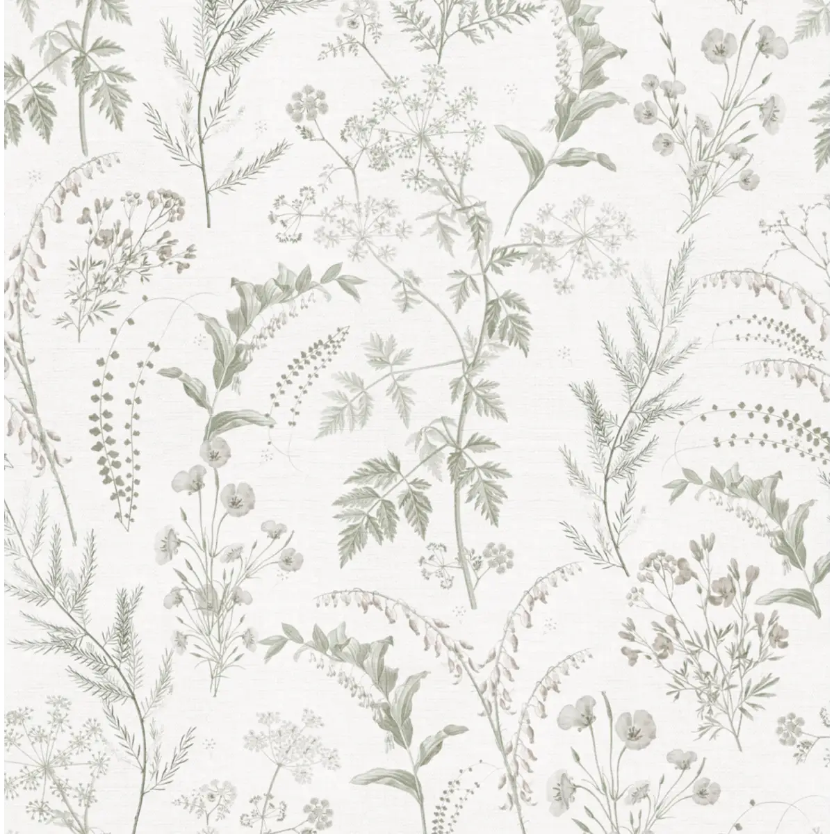 Winsome Wallpaper - Botanical Ferns - by Aynsley Ovard x Bloomery Decor - Sample 1 foot by 1 foot / Ivory and Sage