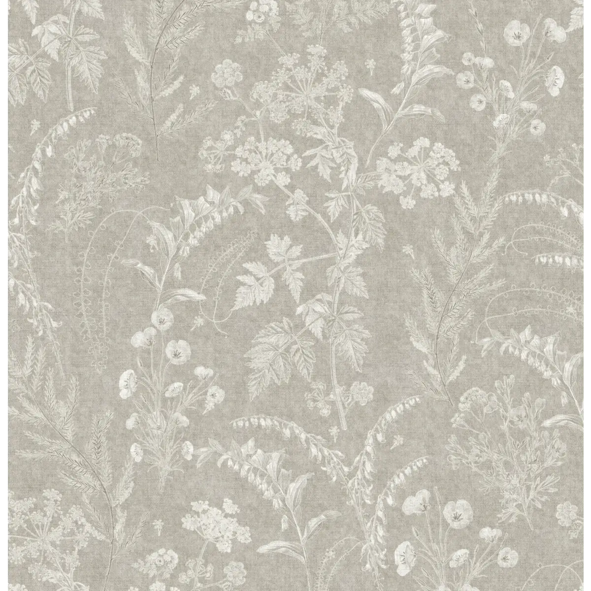 Winsome Wallpaper - Botanical Ferns - by Aynsley Ovard x Bloomery Decor - Sample 1 foot by 1 foot / Beige - Loomwell